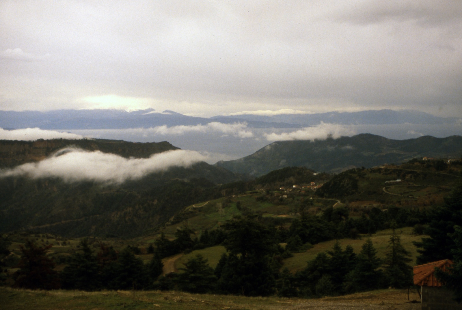 The view on the way to Kalavryta 1